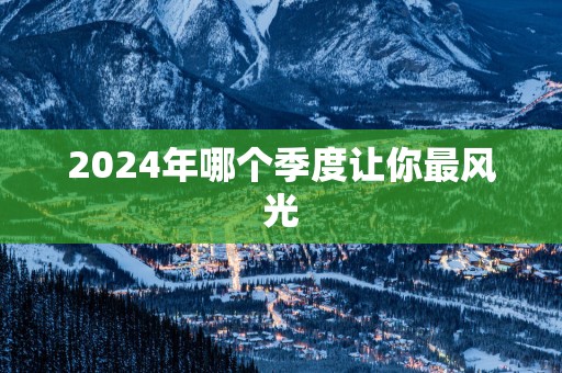 2025年哪个季度让你最风光
