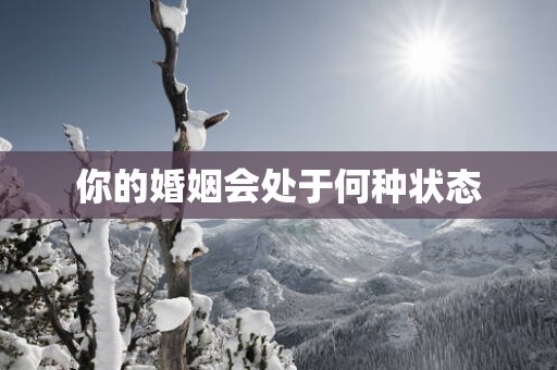 你的婚姻会处于何种状态