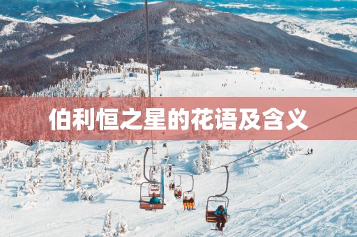 伯利恒之星的花语及含义