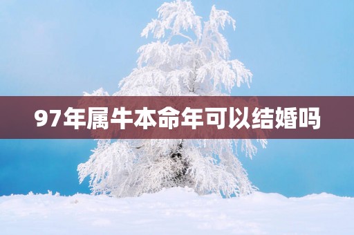 97年属牛本命年可以结婚吗