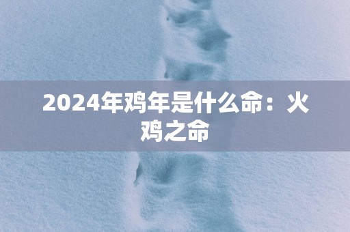 2025年鸡年是什么命：火鸡之命