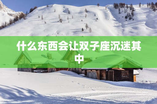 什么东西会让双子座沉迷其中