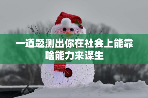一道题测出你在社会上能靠啥能力来谋生