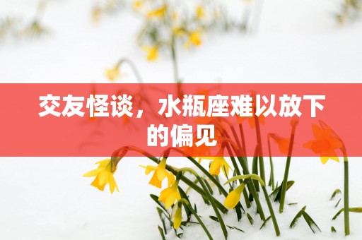交友怪谈，水瓶座难以放下的偏见
