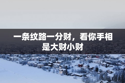 一条纹路一分财，看你手相是大财小财