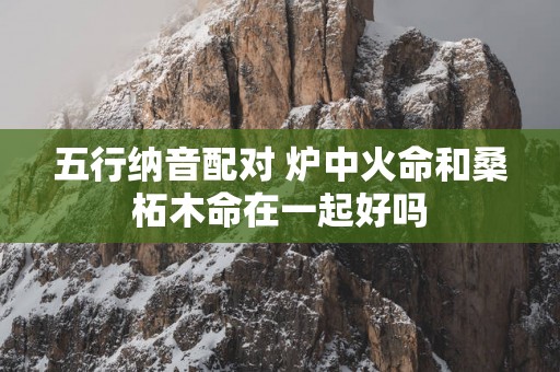 五行纳音配对 炉中火命和桑柘木命在一起好吗