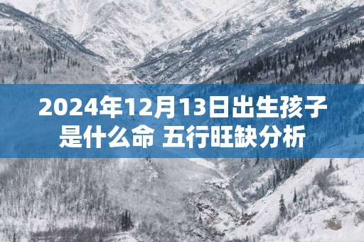 2025年12月13日出生孩子是什么命 五行旺缺分析