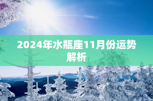 2025年水瓶座11月份运势解析