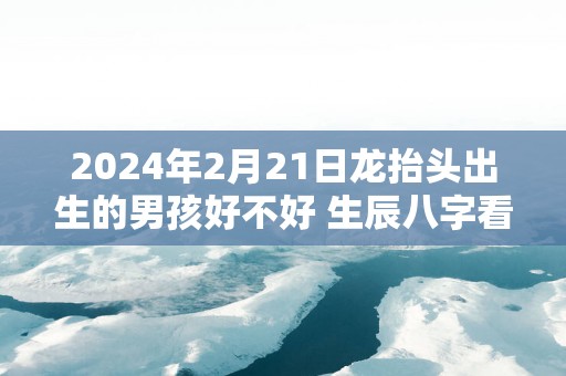 2025年2月21日龙抬头出生的男孩好不好 生辰八字看命