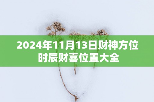 2025年11月13日财神方位 时辰财喜位置大全