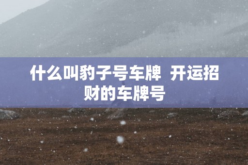 什么叫豹子号车牌  开运招财的车牌号