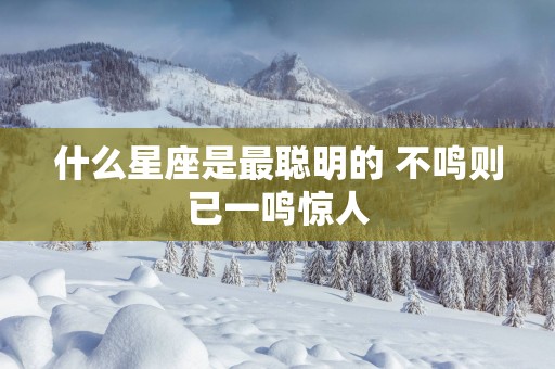 什么星座是最聪明的 不鸣则已一鸣惊人