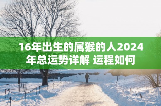 16年出生的属猴的人2025年总运势详解 运程如何