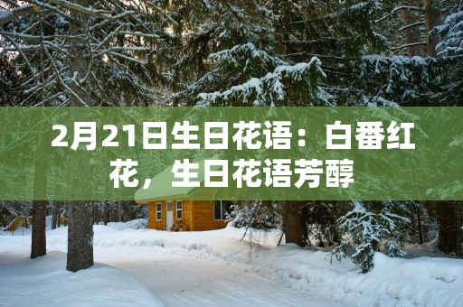 2月21日生日花语：白番红花，生日花语芳醇