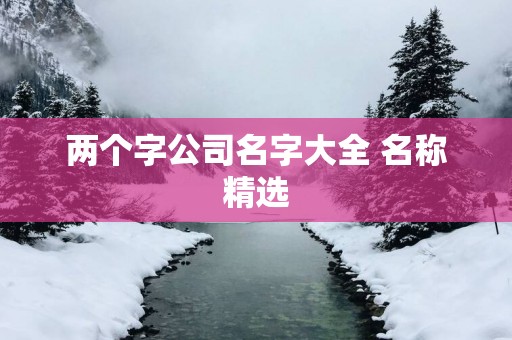 两个字公司名字大全 名称精选