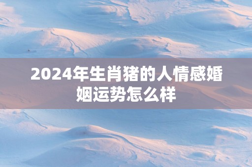 2025年生肖猪的人情感婚姻运势怎么样