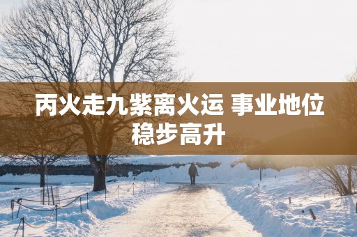 丙火走九紫离火运 事业地位稳步高升