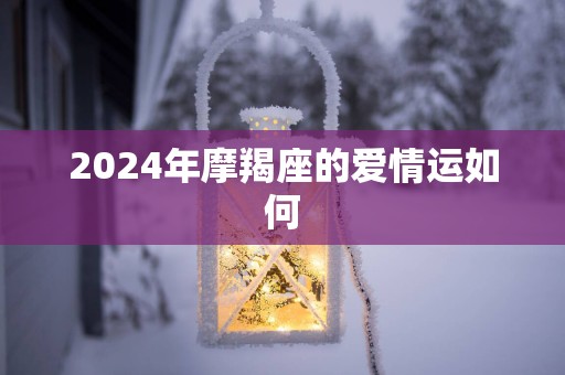 2025年摩羯座的爱情运如何