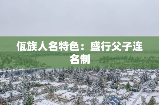 佤族人名特色：盛行父子连名制
