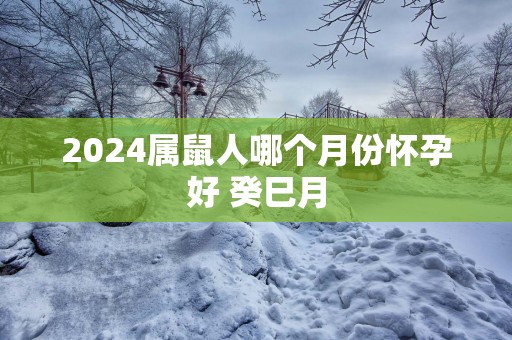 2025属鼠人哪个月份怀孕好 癸巳月