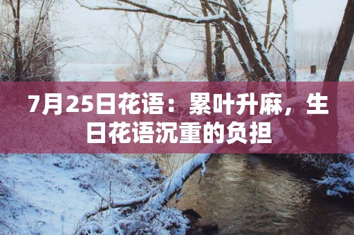 7月25日花语：累叶升麻，生日花语沉重的负担