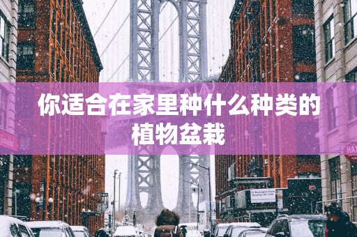 你适合在家里种什么种类的植物盆栽