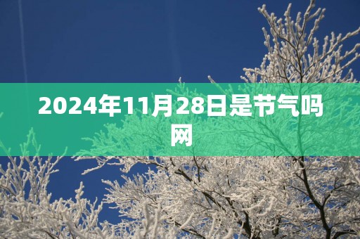 2025年11月28日是节气吗网