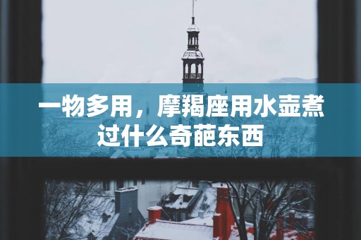 一物多用，摩羯座用水壶煮过什么奇葩东西