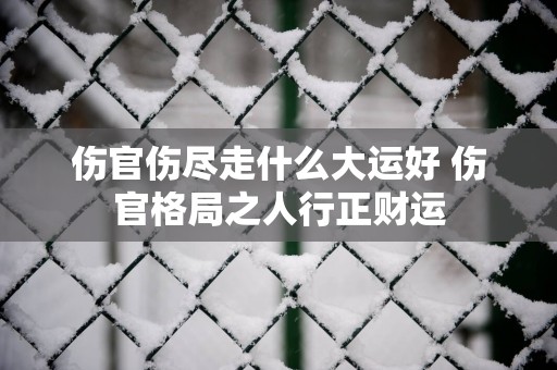 伤官伤尽走什么大运好 伤官格局之人行正财运