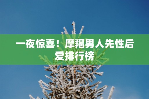 一夜惊喜！摩羯男人先性后爱排行榜