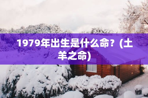 1979年出生是什么命？(土羊之命)