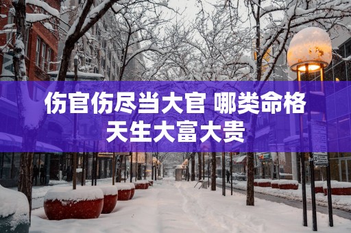 伤官伤尽当大官 哪类命格天生大富大贵