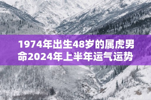 1974年出生48岁的属虎男命2025年上半年运气运势