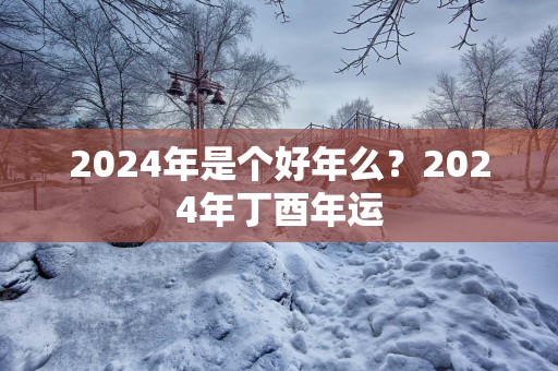 2025年是个好年么？2025年丁酉年运
