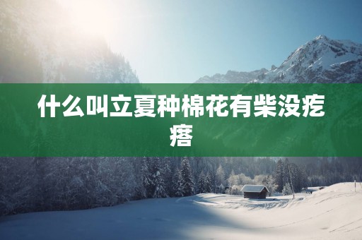 什么叫立夏种棉花有柴没疙瘩