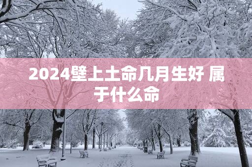 2025壁上土命几月生好 属于什么命