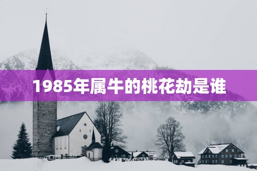 1985年属牛的桃花劫是谁