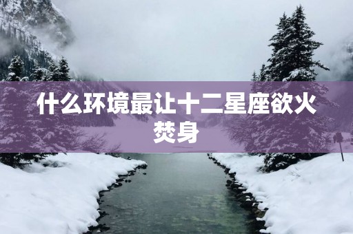 什么环境最让十二星座欲火焚身