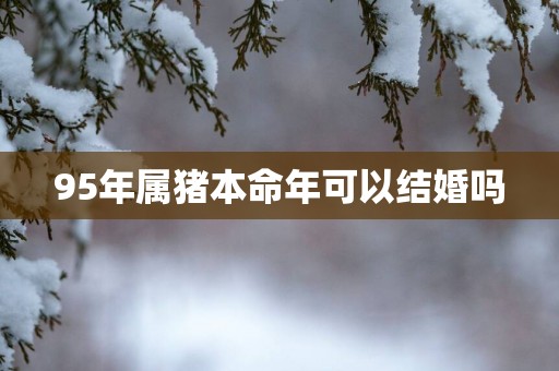 95年属猪本命年可以结婚吗