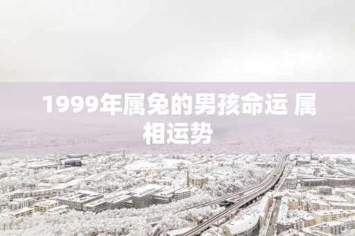 1999年属兔的男孩命运 属相运势