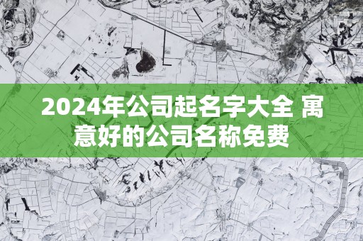 2024年公司起名字大全 寓意好的公司名称免费