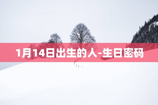 1月14日出生的人-生日密码