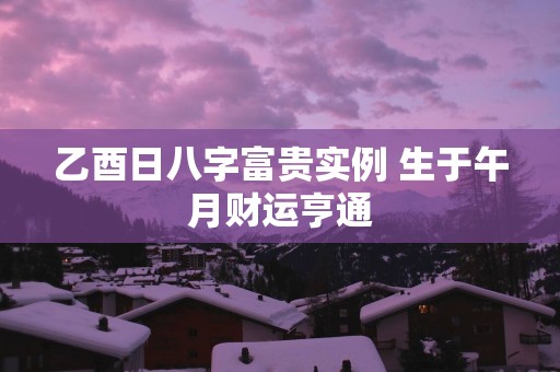 乙酉日八字富贵实例 生于午月财运亨通