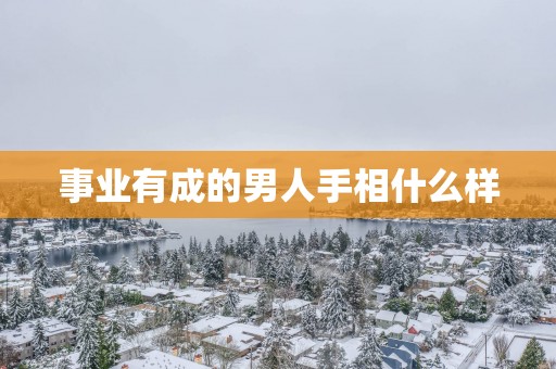 事业有成的男人手相什么样