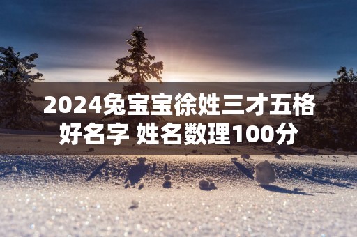 2025兔宝宝徐姓三才五格好名字 姓名数理100分