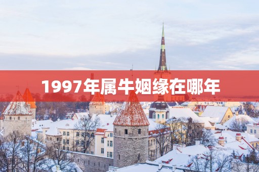 1997年属牛姻缘在哪年