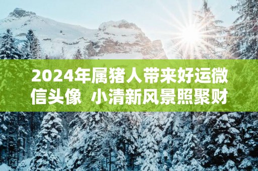 2025年属猪人带来好运微信头像  小清新风景照聚财