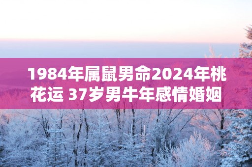 1984年属鼠男命2025年桃花运 37岁男蛇年感情婚姻运势