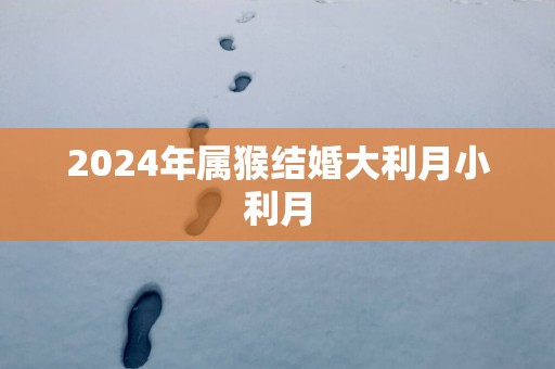 2025年属猴结婚大利月小利月