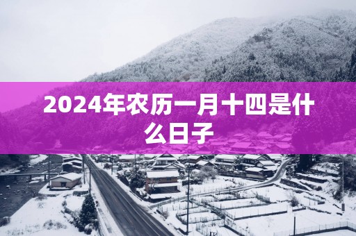 2025年农历一月十四是什么日子